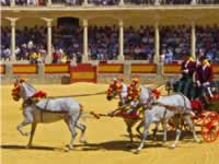 Plaza de Toros Carriage
