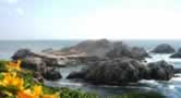 Lobos island