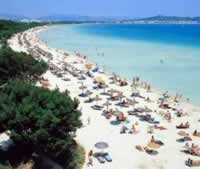 Alcudia 8 km Long Beach